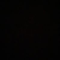 gor1lllla