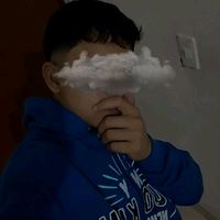 user4431845067248