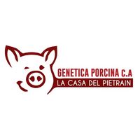genetica.porcina.ve