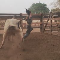 paulo.henrique7000