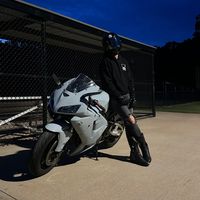 bullybullit