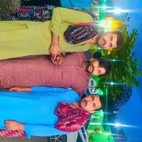 shahidzafar295