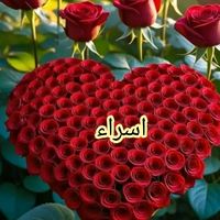 user81992696708810
