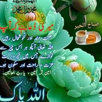naeem_gujjar5352