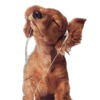 original sound