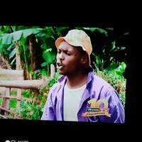 original sound - kiunyaa