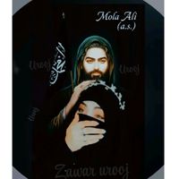 urooj482haidry