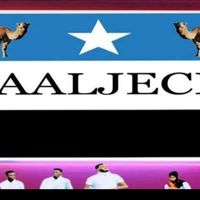 gaaljecelsamowboys
