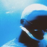blueskygonegray
