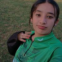 lety2733