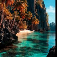 www.tiktok.mohamed.ali.c
