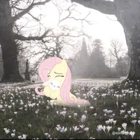 original sound - lyahhdzy