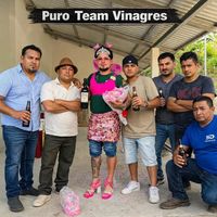 puroteamvinagres