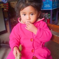 luciana.gaspar.ne