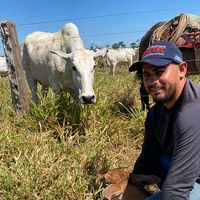 paulopacheco13.617