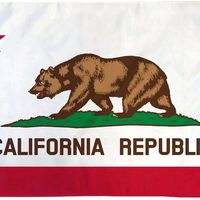cali4nia777