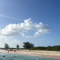 stop using this for bad takes bozos