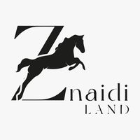 znaidi.land