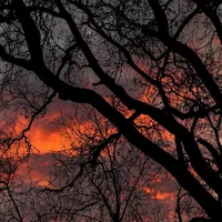 original sound - ..r.motivacion