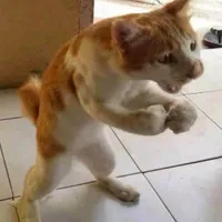 original sound - lenzah_ademba