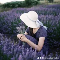 original sound - dinorabardales