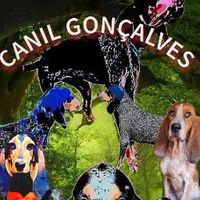 canil.gonalves