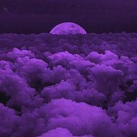 aina_elegance_creations