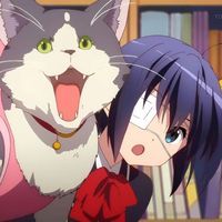 chinesehotricefarmer