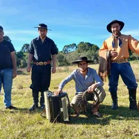 original sound - tigrao.da.gaita