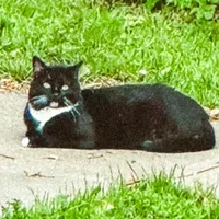 original sound - ann.kallan