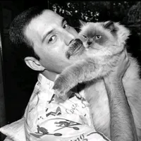 original sound - olds.indie