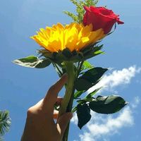 yisel.jimenez2