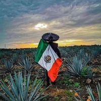 guerrerocalentano