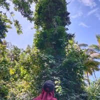 suara asli - Ilmi Didak