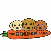 thegoldenratio4