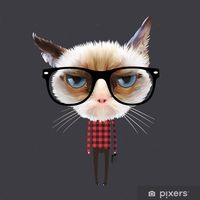 collin.fitz.alexander