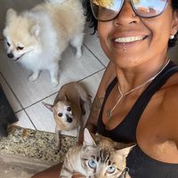 renatamomentoscomdog240