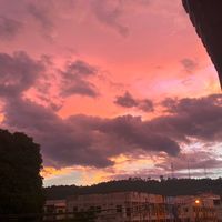 boosky02