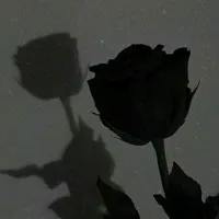 original sound - soul_feelings.x