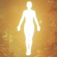 odespertardaconsciencia7