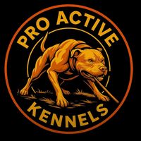 proactivekennels1