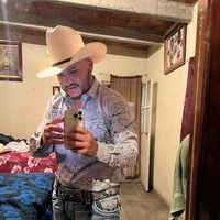 peluchin847