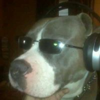 sonido original - Yayouu