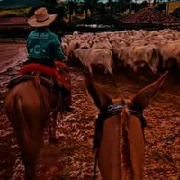 comitiva_os_banduleiros