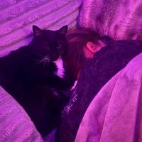 hereignsforeverandever