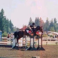 road.to.serenity.farm