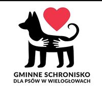 dźwięk oryginalny