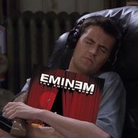 eminem_stanskinslover