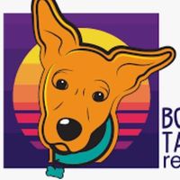 bordertailsrescue