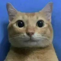 original sound - karampito